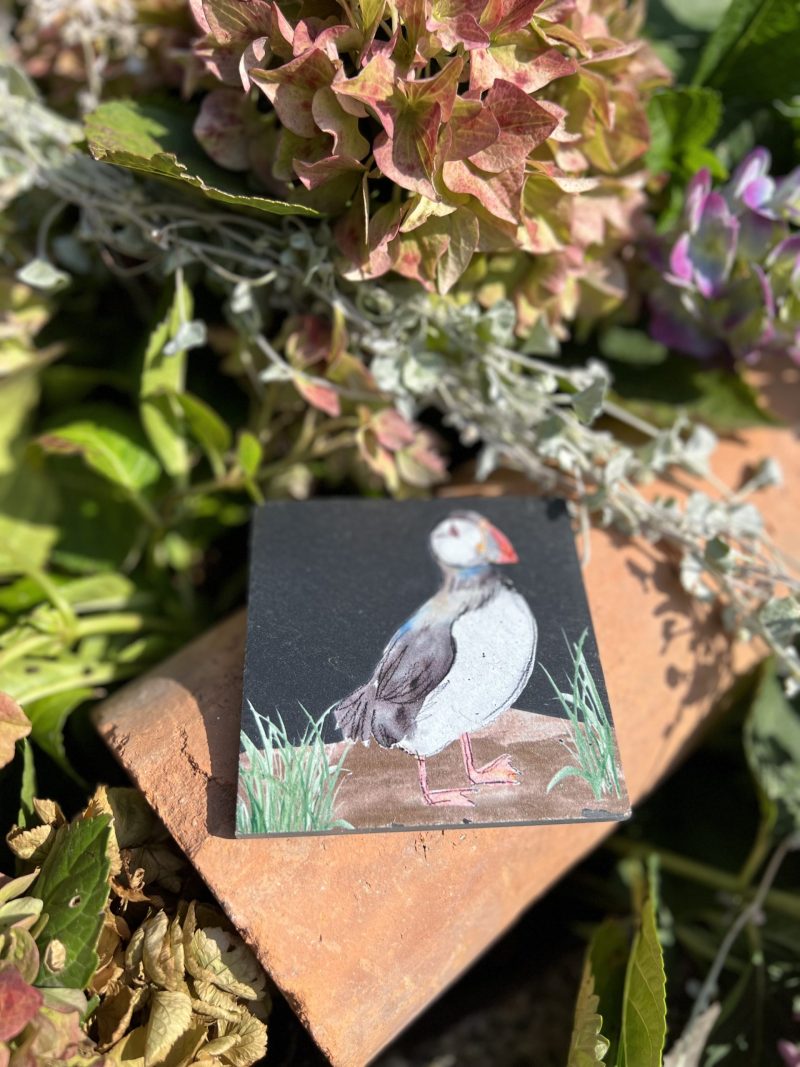 Fyrkantigt, mörkt stenunderlägg med en målad lunnefågel. Underlägget är fotograferat utomhus på en tegelsten med blommor.