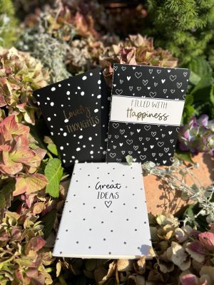 Notebooks 3-pack Olinjerat