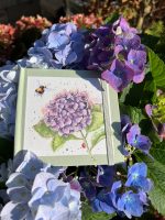 En ljusgrön lösenordsbok med akvarellmotiv av en hortensia, omgiven av verkliga blå och lila hortensiablommor utomhus.