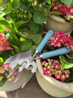 Garden Tool Set Dragonfly