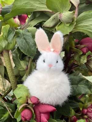 Fluffy Bunny White