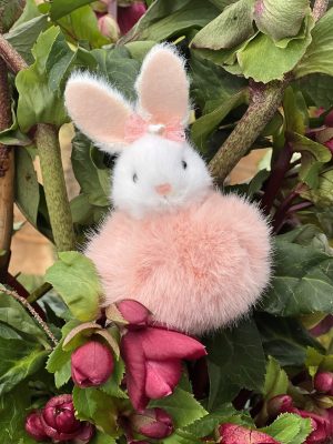 Fluffy Bunny Pink