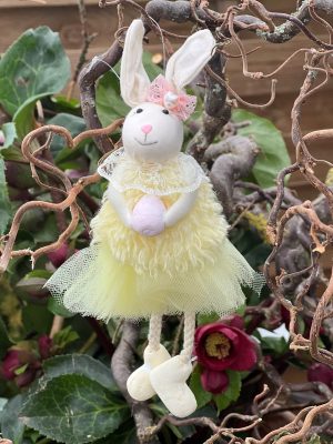 Bunny With  Ball & Tutu Dress