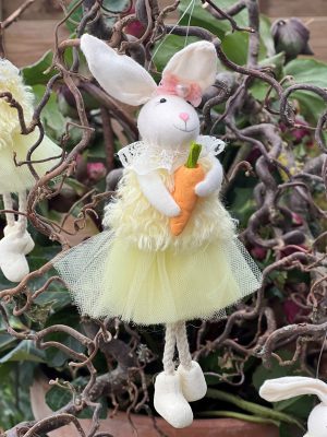 Bunny With Carrot & Tutu Dress