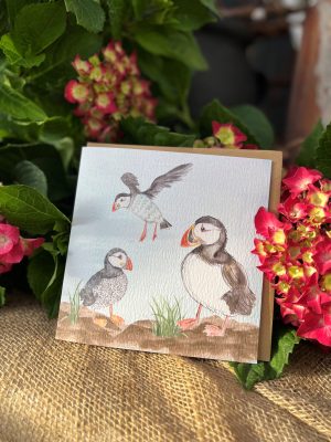 Greeting Cards